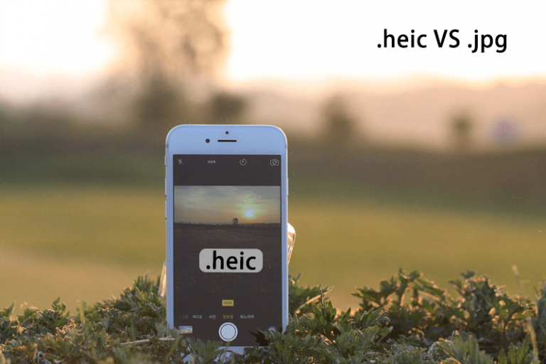 Get to Know More About HEIC and JPEG Image!-Free HEIC Converter